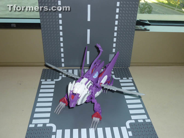 Botcon 2014 Knight 3 Pack Attendee Set  (24 of 82)